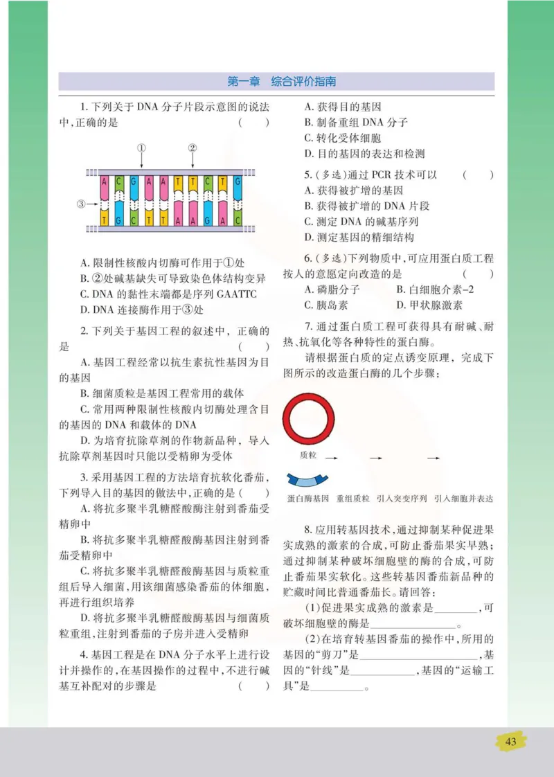 生物选修3现代生物科技专题_高中课本电子全科人教版语数英政历地物化生必修选修全套课本PPT_高中课本苏教版_高中生物苏教版