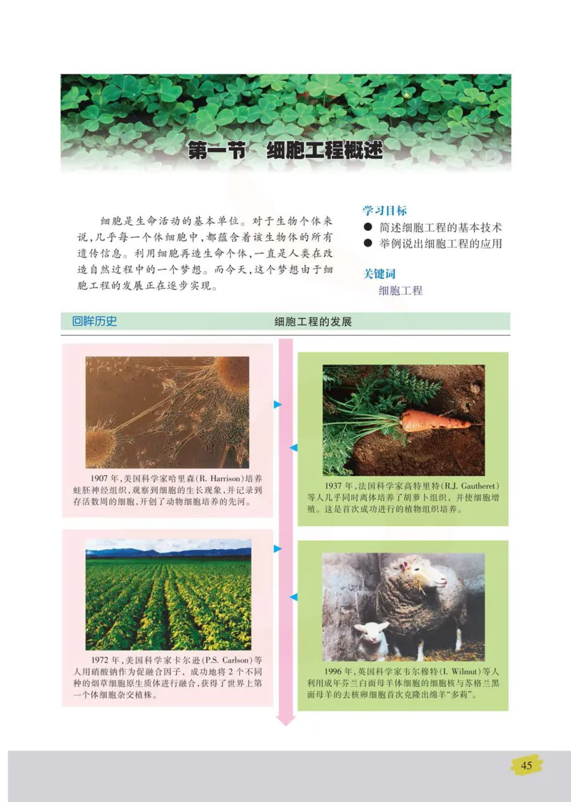 生物选修3现代生物科技专题_高中课本电子全科人教版语数英政历地物化生必修选修全套课本PPT_高中课本苏教版_高中生物苏教版