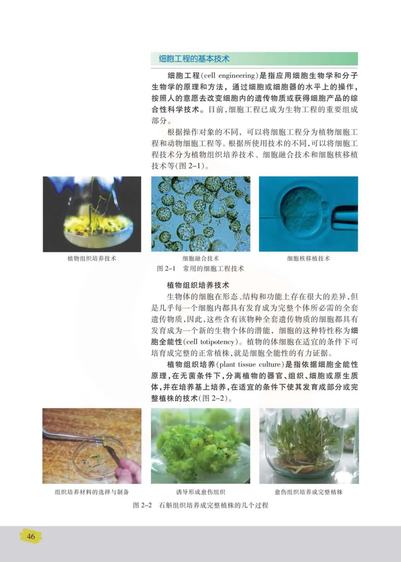 生物选修3现代生物科技专题_高中课本电子全科人教版语数英政历地物化生必修选修全套课本PPT_高中课本苏教版_高中生物苏教版