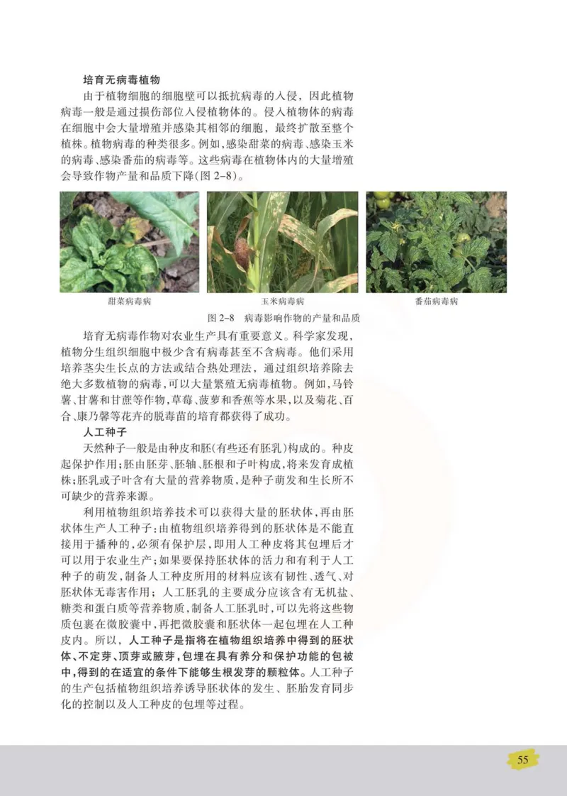 生物选修3现代生物科技专题_高中课本电子全科人教版语数英政历地物化生必修选修全套课本PPT_高中课本苏教版_高中生物苏教版