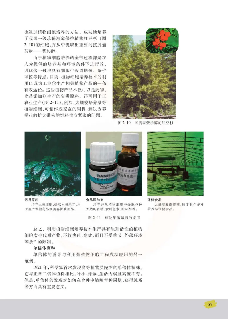 生物选修3现代生物科技专题_高中课本电子全科人教版语数英政历地物化生必修选修全套课本PPT_高中课本苏教版_高中生物苏教版