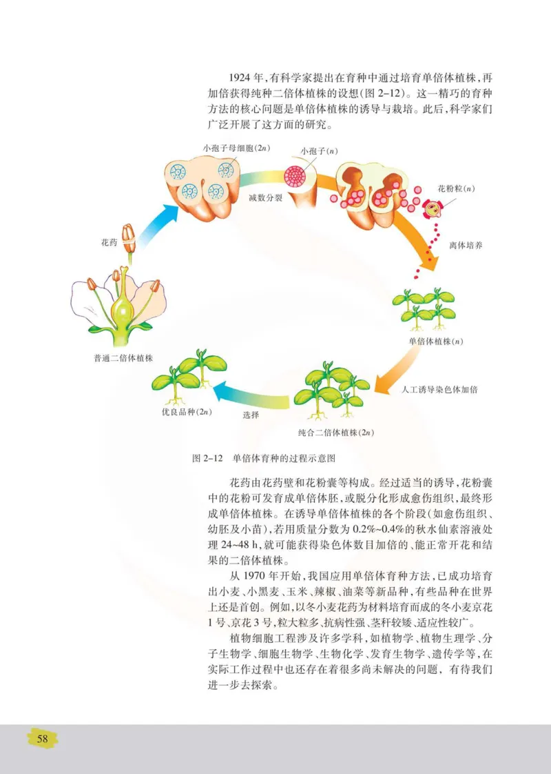 生物选修3现代生物科技专题_高中课本电子全科人教版语数英政历地物化生必修选修全套课本PPT_高中课本苏教版_高中生物苏教版