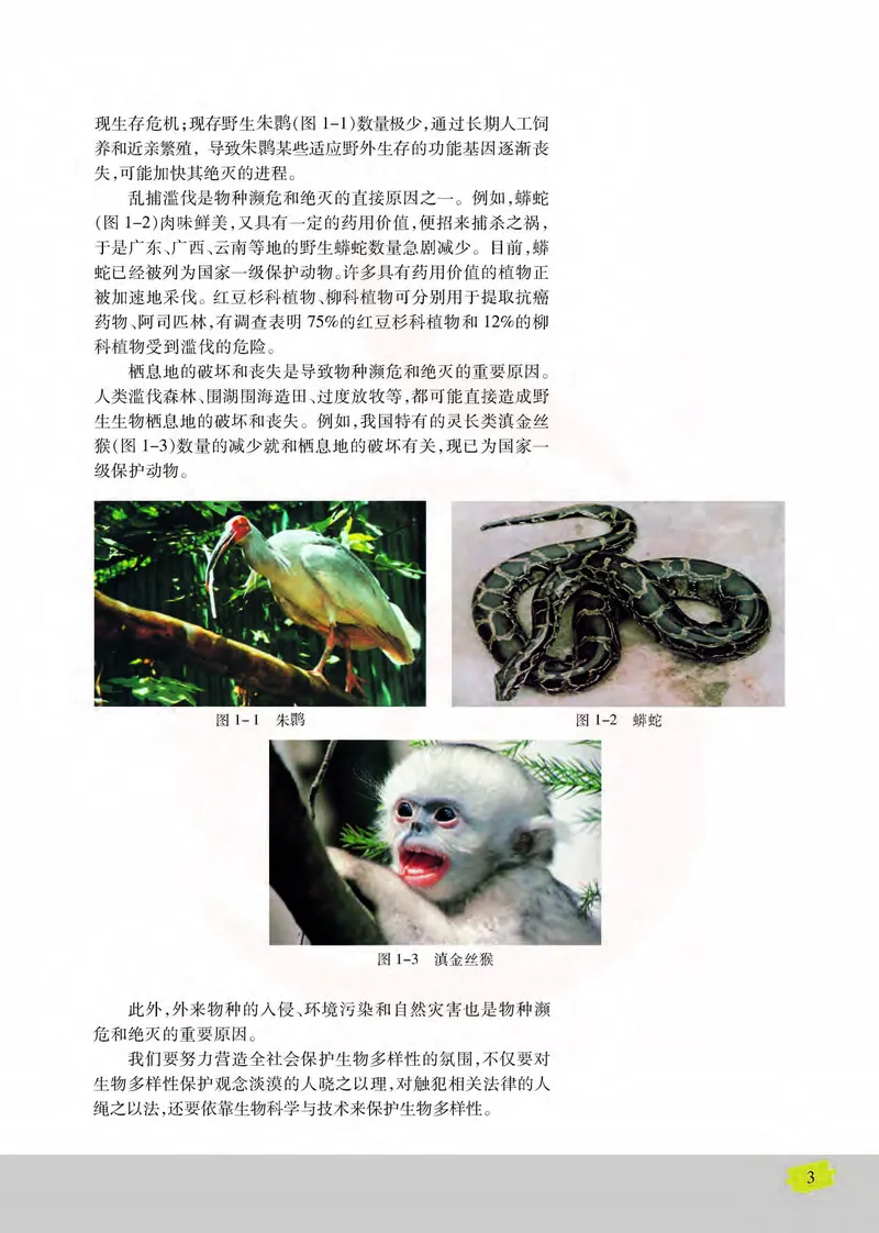 生物3必修稳态与环境_高中课本电子全科人教版语数英政历地物化生必修选修全套课本PPT_高中课本苏教版_高中生物苏教版