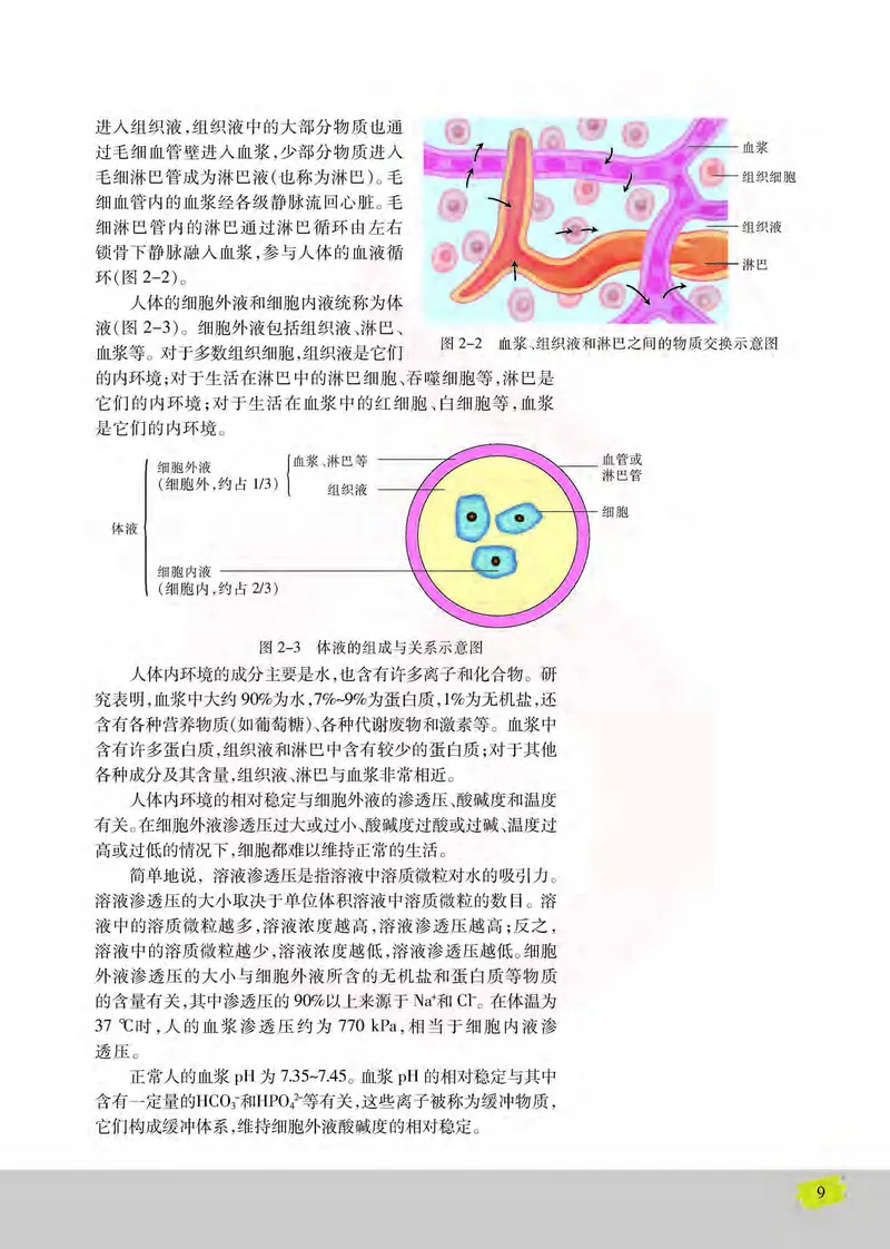 生物3必修稳态与环境_高中课本电子全科人教版语数英政历地物化生必修选修全套课本PPT_高中课本苏教版_高中生物苏教版