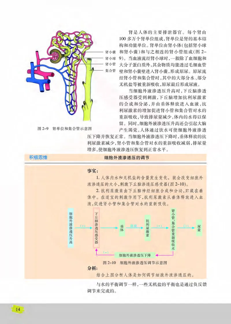 生物3必修稳态与环境_高中课本电子全科人教版语数英政历地物化生必修选修全套课本PPT_高中课本苏教版_高中生物苏教版