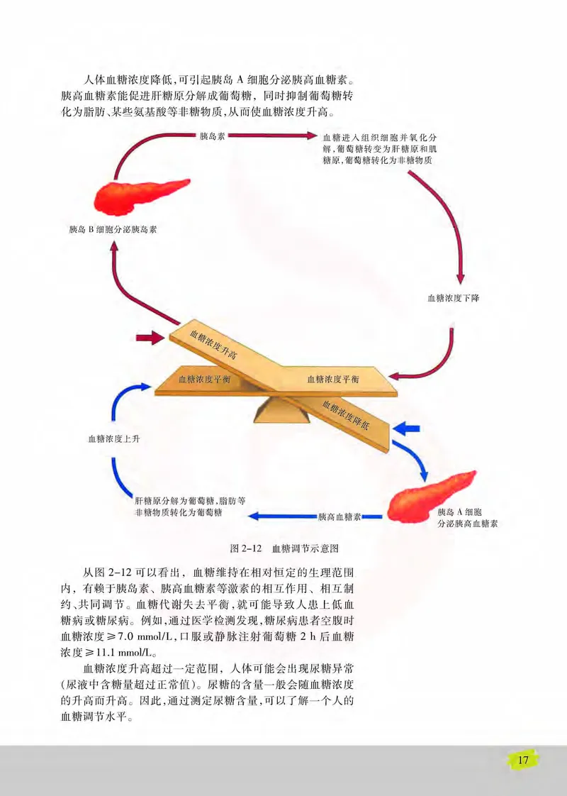 生物3必修稳态与环境_高中课本电子全科人教版语数英政历地物化生必修选修全套课本PPT_高中课本苏教版_高中生物苏教版