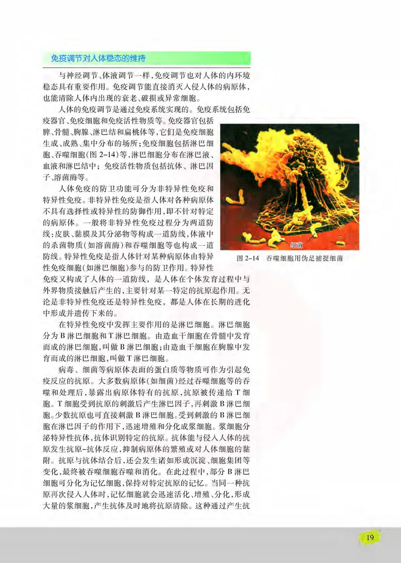 生物3必修稳态与环境_高中课本电子全科人教版语数英政历地物化生必修选修全套课本PPT_高中课本苏教版_高中生物苏教版