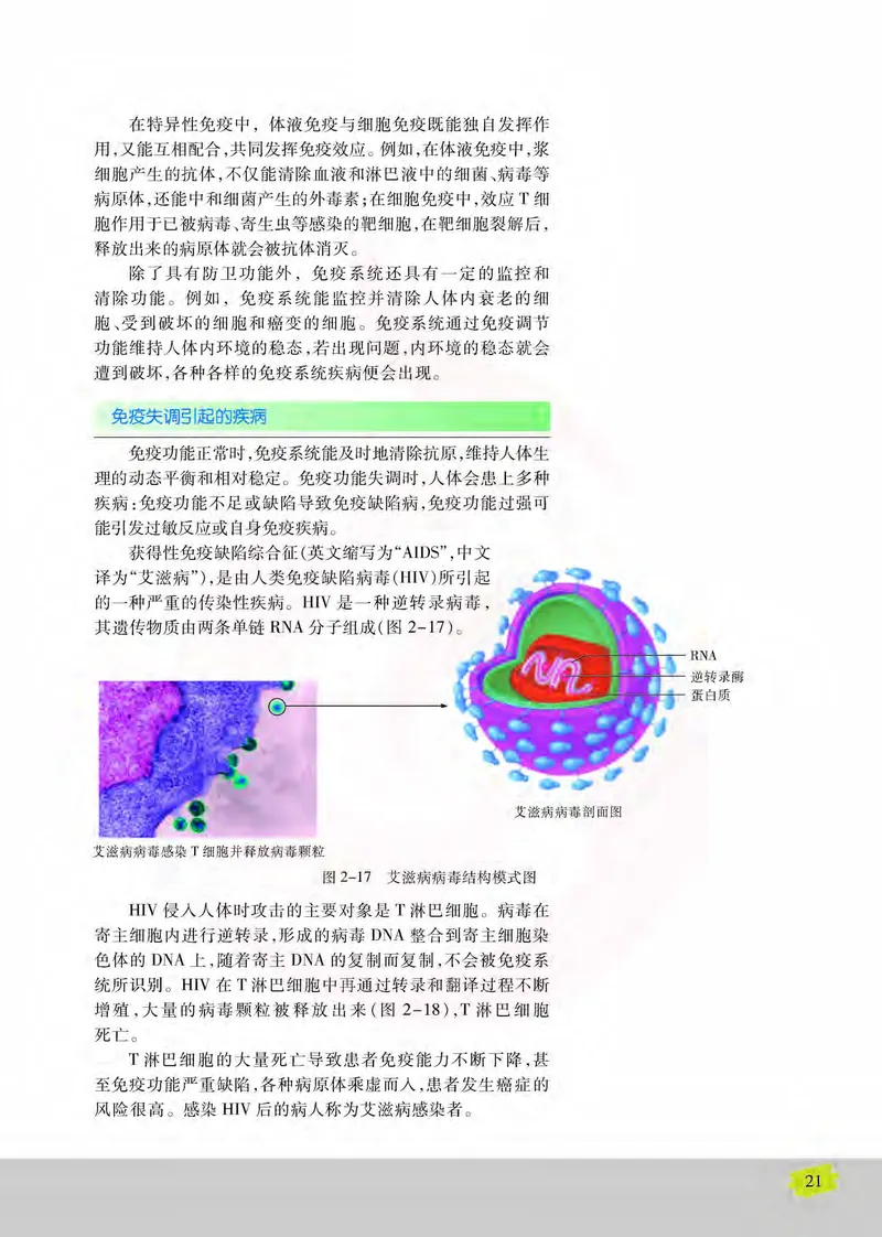 生物3必修稳态与环境_高中课本电子全科人教版语数英政历地物化生必修选修全套课本PPT_高中课本苏教版_高中生物苏教版
