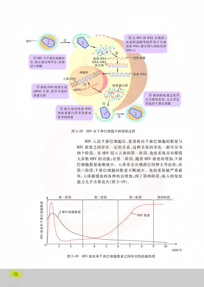 生物3必修稳态与环境_高中课本电子全科人教版语数英政历地物化生必修选修全套课本PPT_高中课本苏教版_高中生物苏教版