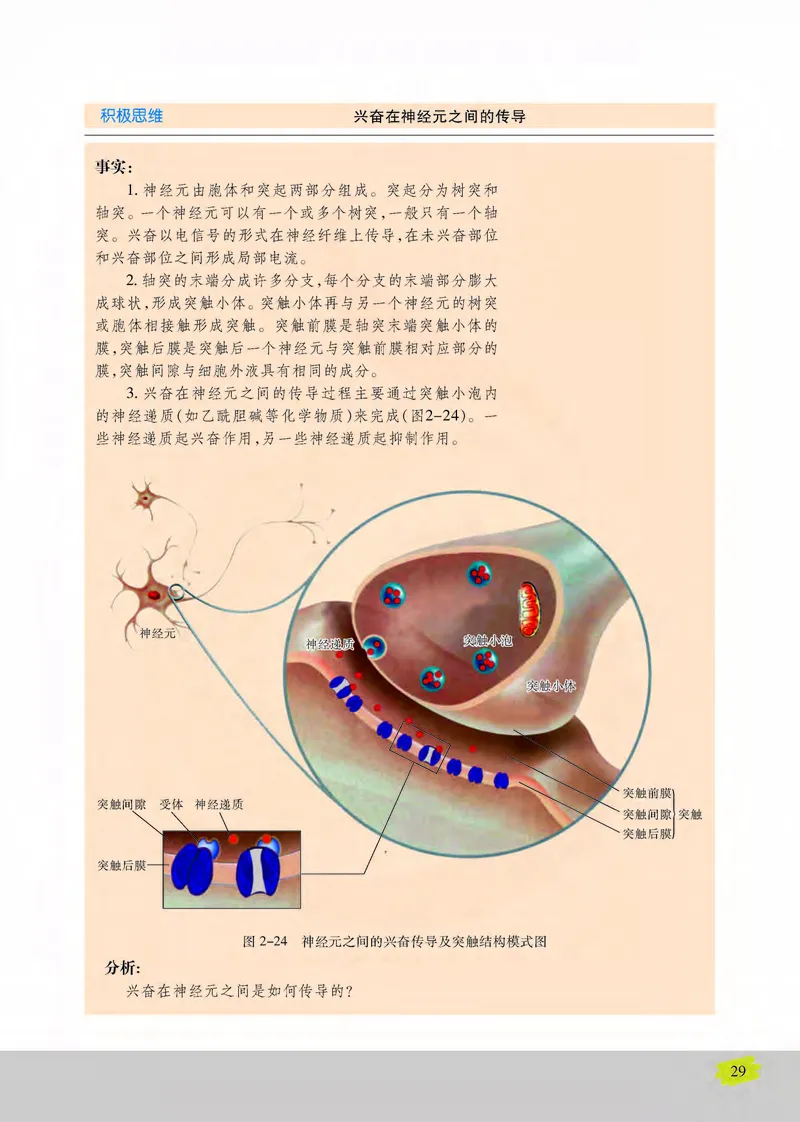 生物3必修稳态与环境_高中课本电子全科人教版语数英政历地物化生必修选修全套课本PPT_高中课本苏教版_高中生物苏教版