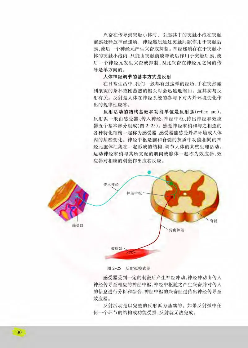 生物3必修稳态与环境_高中课本电子全科人教版语数英政历地物化生必修选修全套课本PPT_高中课本苏教版_高中生物苏教版