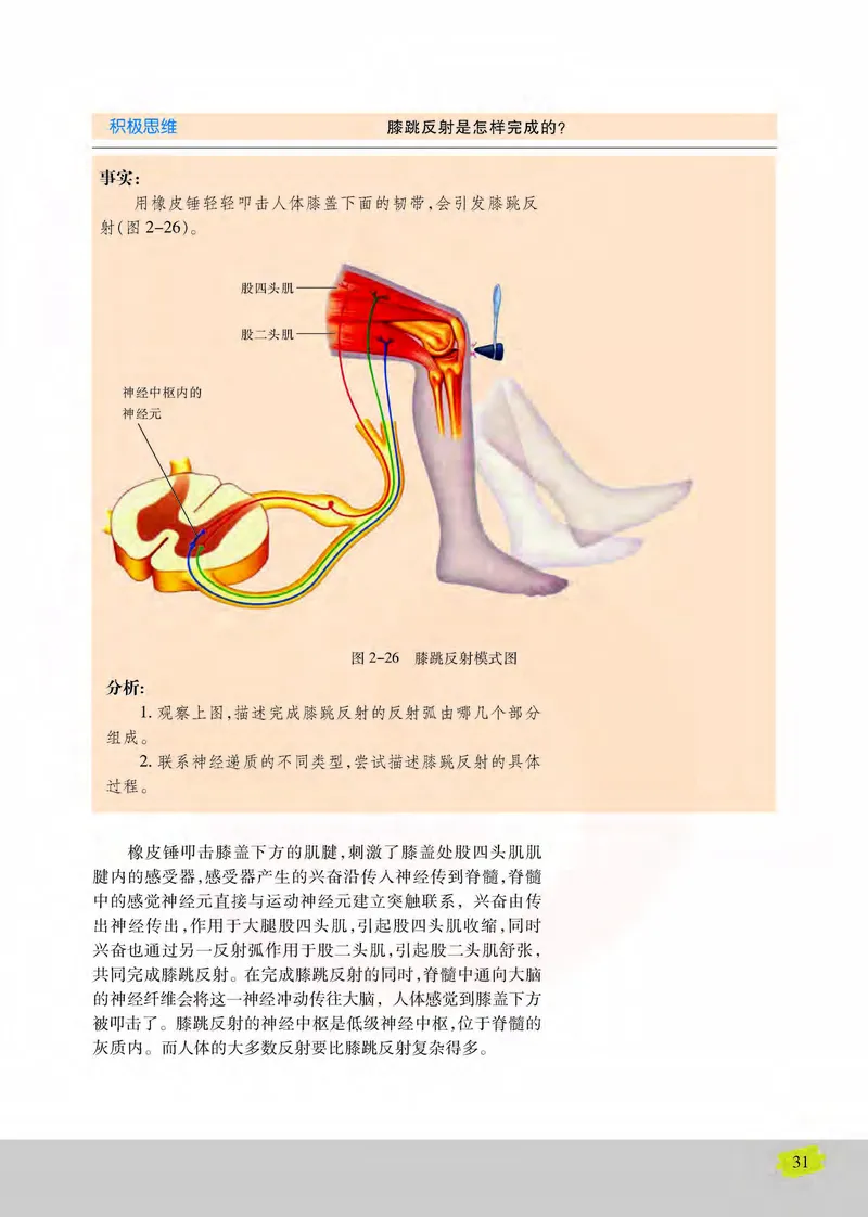 生物3必修稳态与环境_高中课本电子全科人教版语数英政历地物化生必修选修全套课本PPT_高中课本苏教版_高中生物苏教版