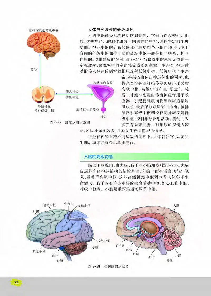 生物3必修稳态与环境_高中课本电子全科人教版语数英政历地物化生必修选修全套课本PPT_高中课本苏教版_高中生物苏教版
