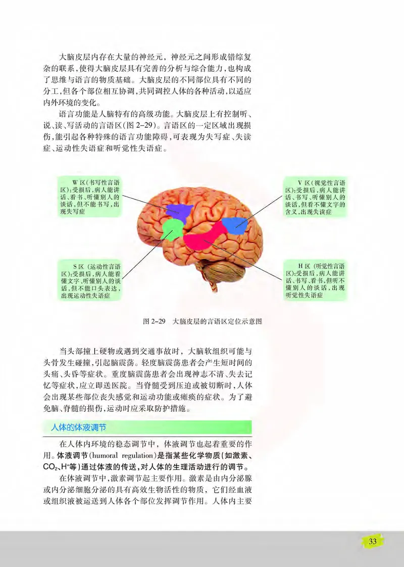 生物3必修稳态与环境_高中课本电子全科人教版语数英政历地物化生必修选修全套课本PPT_高中课本苏教版_高中生物苏教版