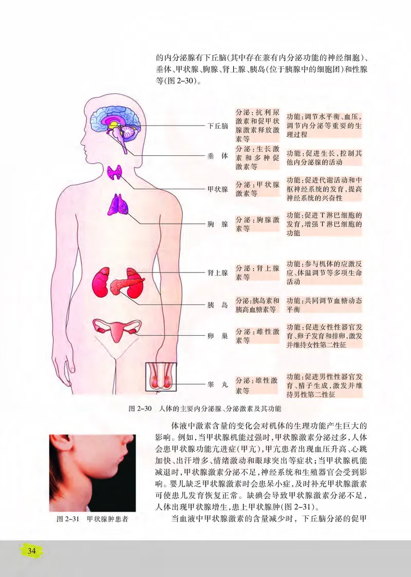 生物3必修稳态与环境_高中课本电子全科人教版语数英政历地物化生必修选修全套课本PPT_高中课本苏教版_高中生物苏教版