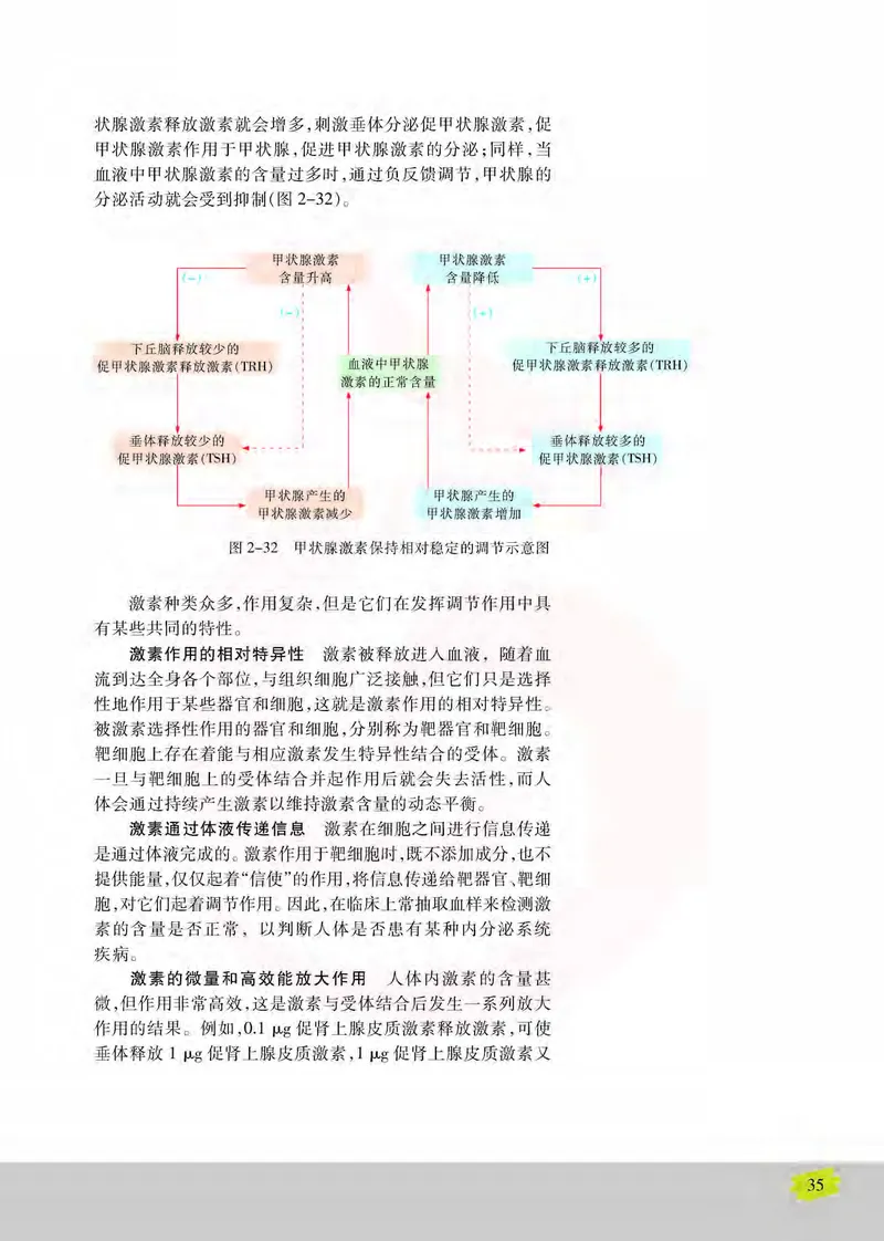 生物3必修稳态与环境_高中课本电子全科人教版语数英政历地物化生必修选修全套课本PPT_高中课本苏教版_高中生物苏教版