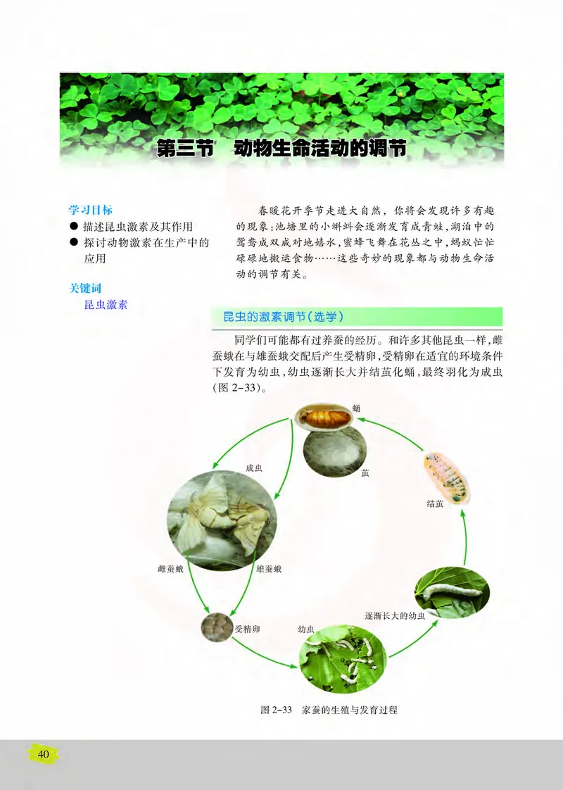 生物3必修稳态与环境_高中课本电子全科人教版语数英政历地物化生必修选修全套课本PPT_高中课本苏教版_高中生物苏教版