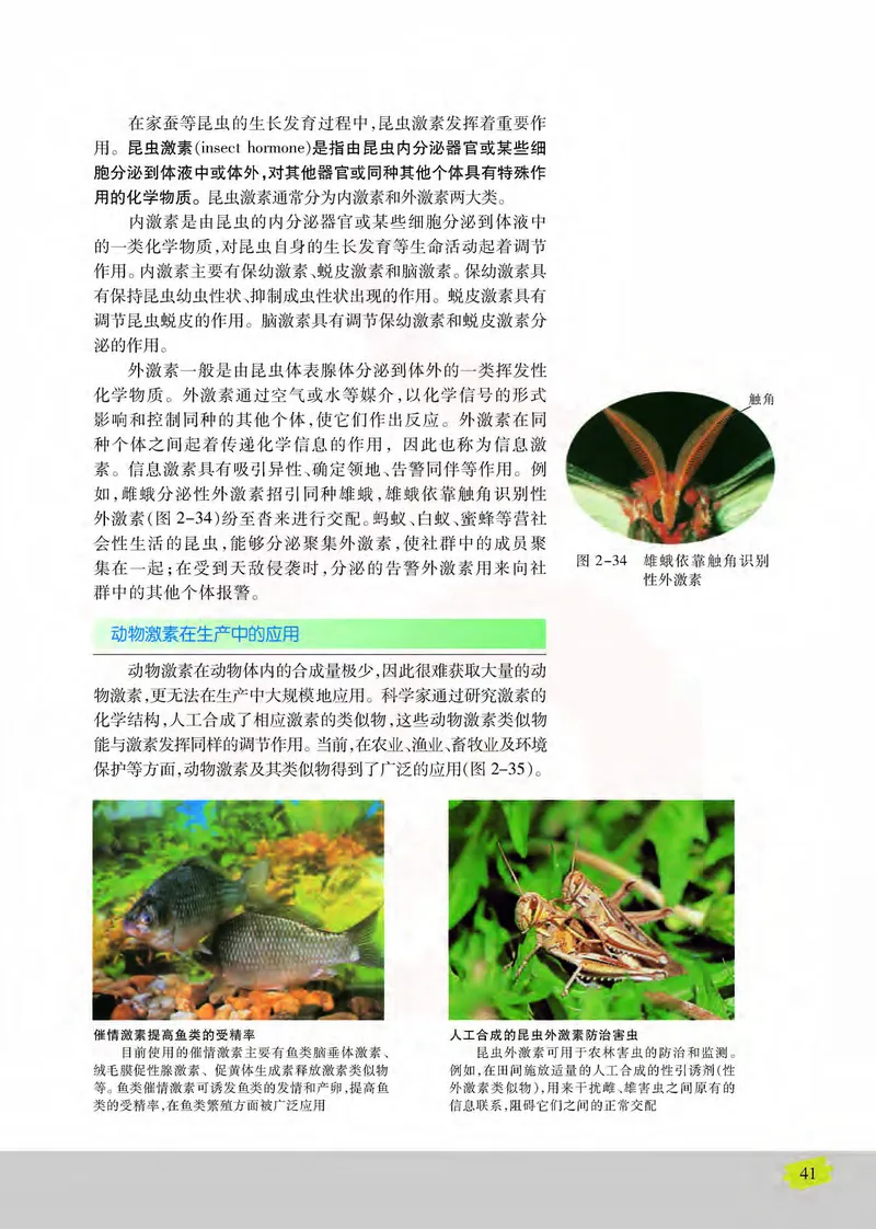 生物3必修稳态与环境_高中课本电子全科人教版语数英政历地物化生必修选修全套课本PPT_高中课本苏教版_高中生物苏教版