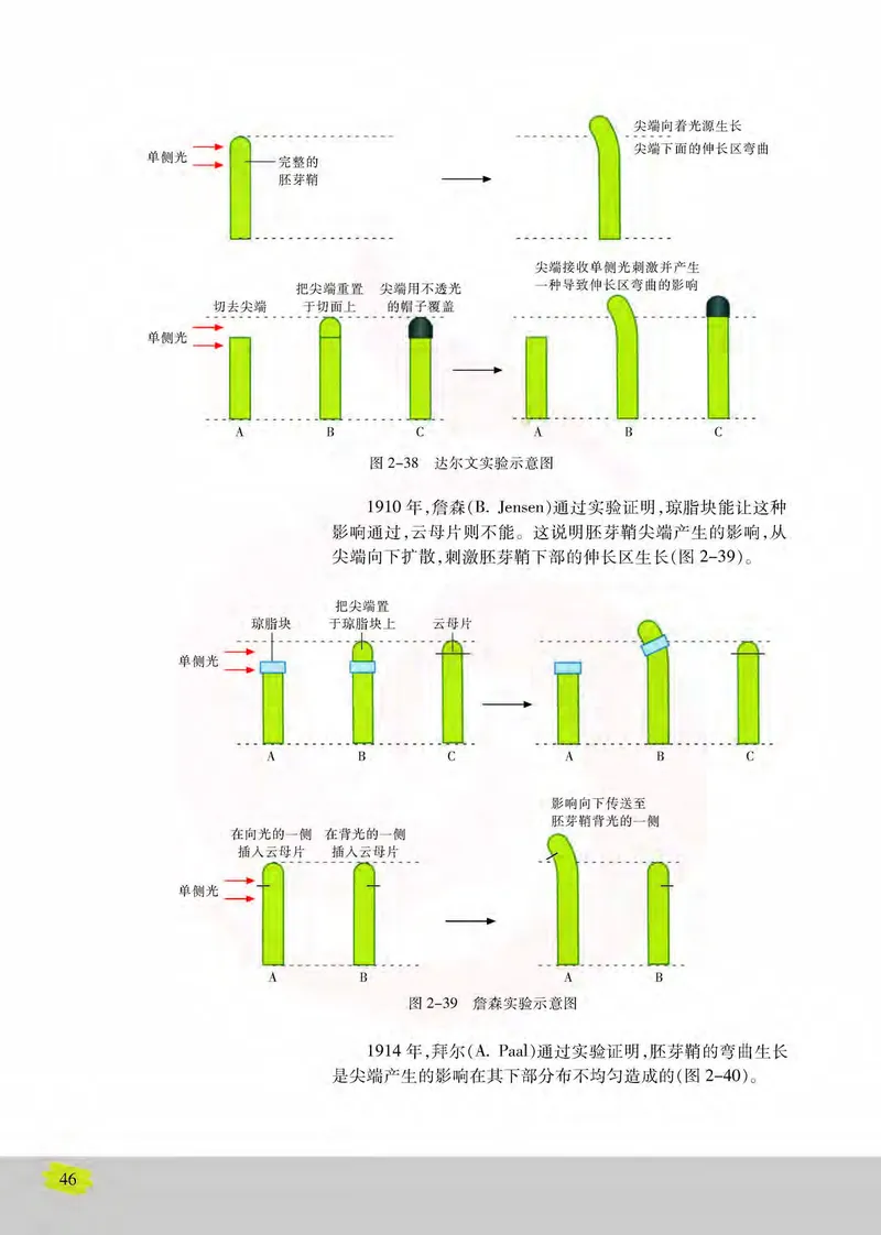 生物3必修稳态与环境_高中课本电子全科人教版语数英政历地物化生必修选修全套课本PPT_高中课本苏教版_高中生物苏教版