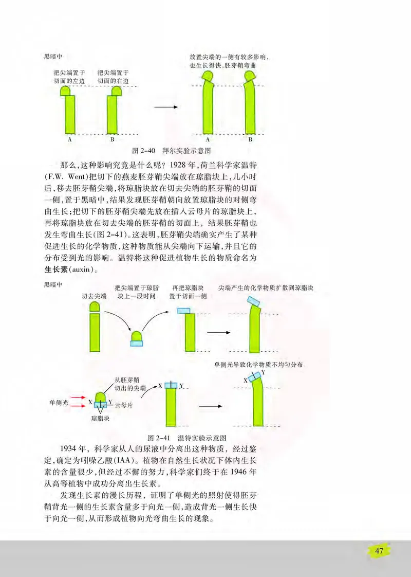 生物3必修稳态与环境_高中课本电子全科人教版语数英政历地物化生必修选修全套课本PPT_高中课本苏教版_高中生物苏教版
