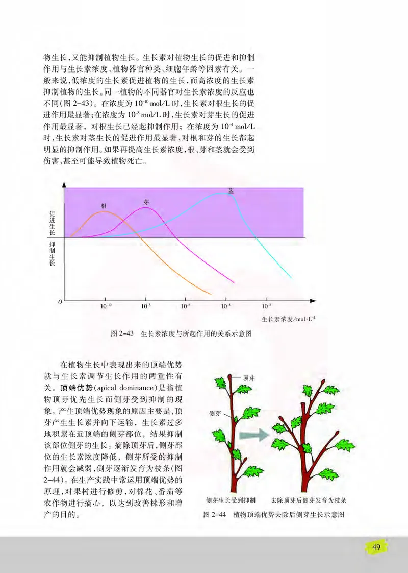 生物3必修稳态与环境_高中课本电子全科人教版语数英政历地物化生必修选修全套课本PPT_高中课本苏教版_高中生物苏教版
