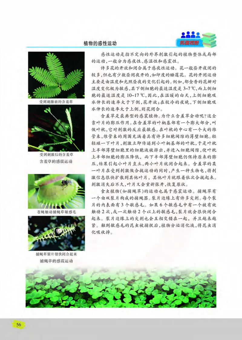 生物3必修稳态与环境_高中课本电子全科人教版语数英政历地物化生必修选修全套课本PPT_高中课本苏教版_高中生物苏教版