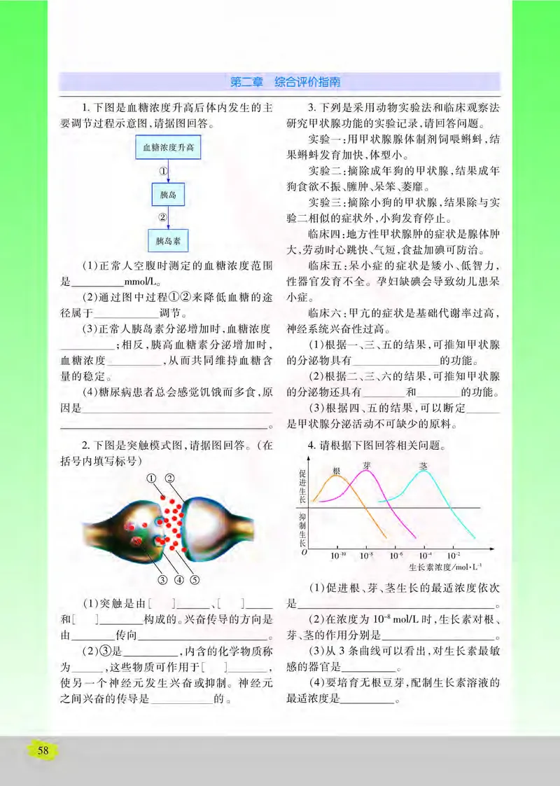 生物3必修稳态与环境_高中课本电子全科人教版语数英政历地物化生必修选修全套课本PPT_高中课本苏教版_高中生物苏教版