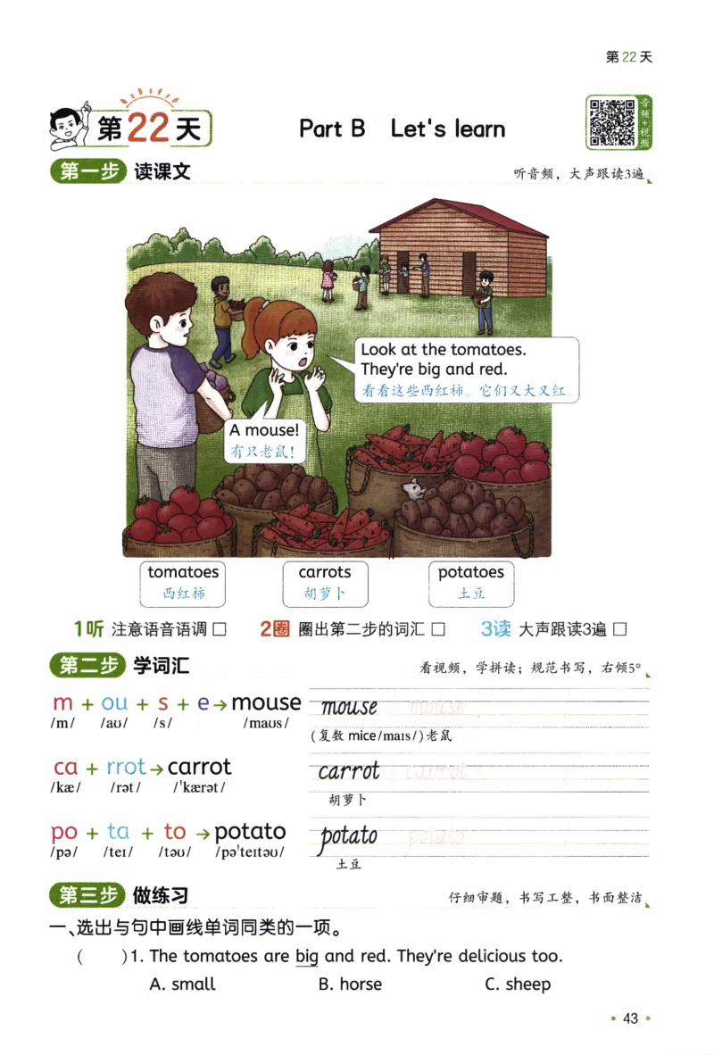 26春《一本预备四年级下册》人教PEP版英语_21练习题+试卷合集多套完整版_-26春《预备新学期》