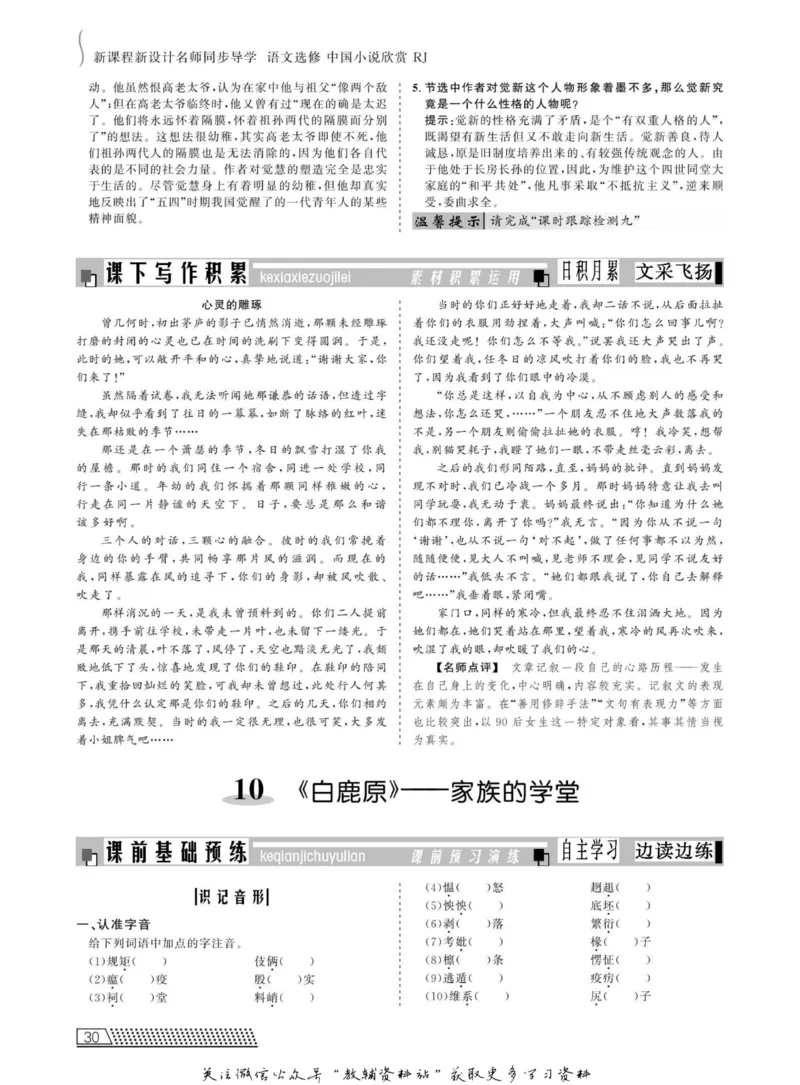 名师同步导学语文人教版选修-中国小说欣赏_名师同步导学_高中语文