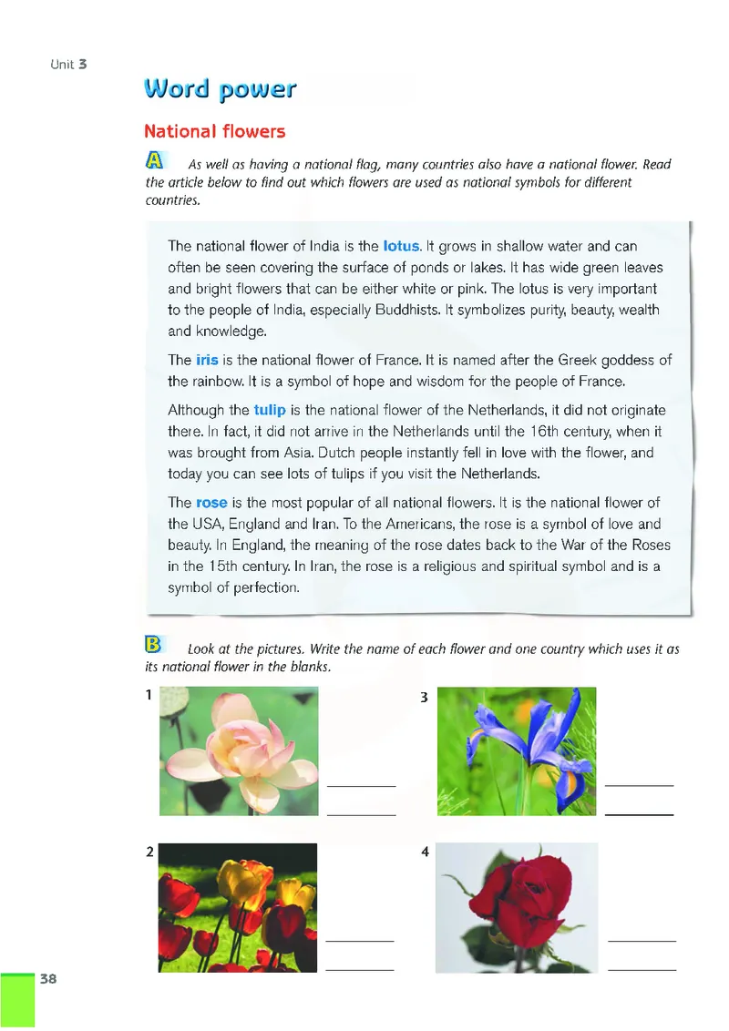 牛津高中英语（模块九&middot;高三上学期）_高中课本电子全科人教版语数英政历地物化生必修选修全套课本PPT_高中英语译林版