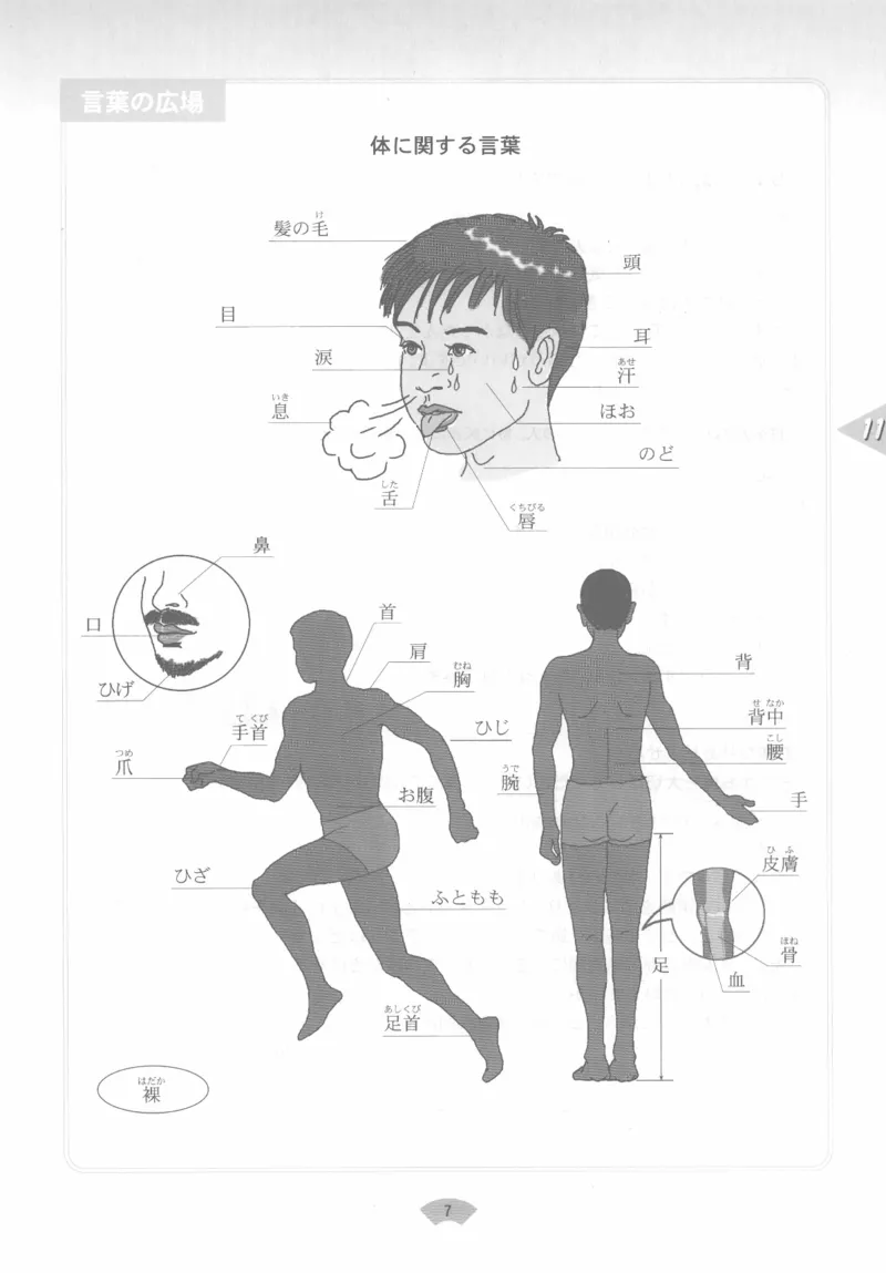 高中日语必修3_高中课本电子全科人教版语数英政历地物化生必修选修全套课本PPT_高中日语_4.人教版高中日语教材