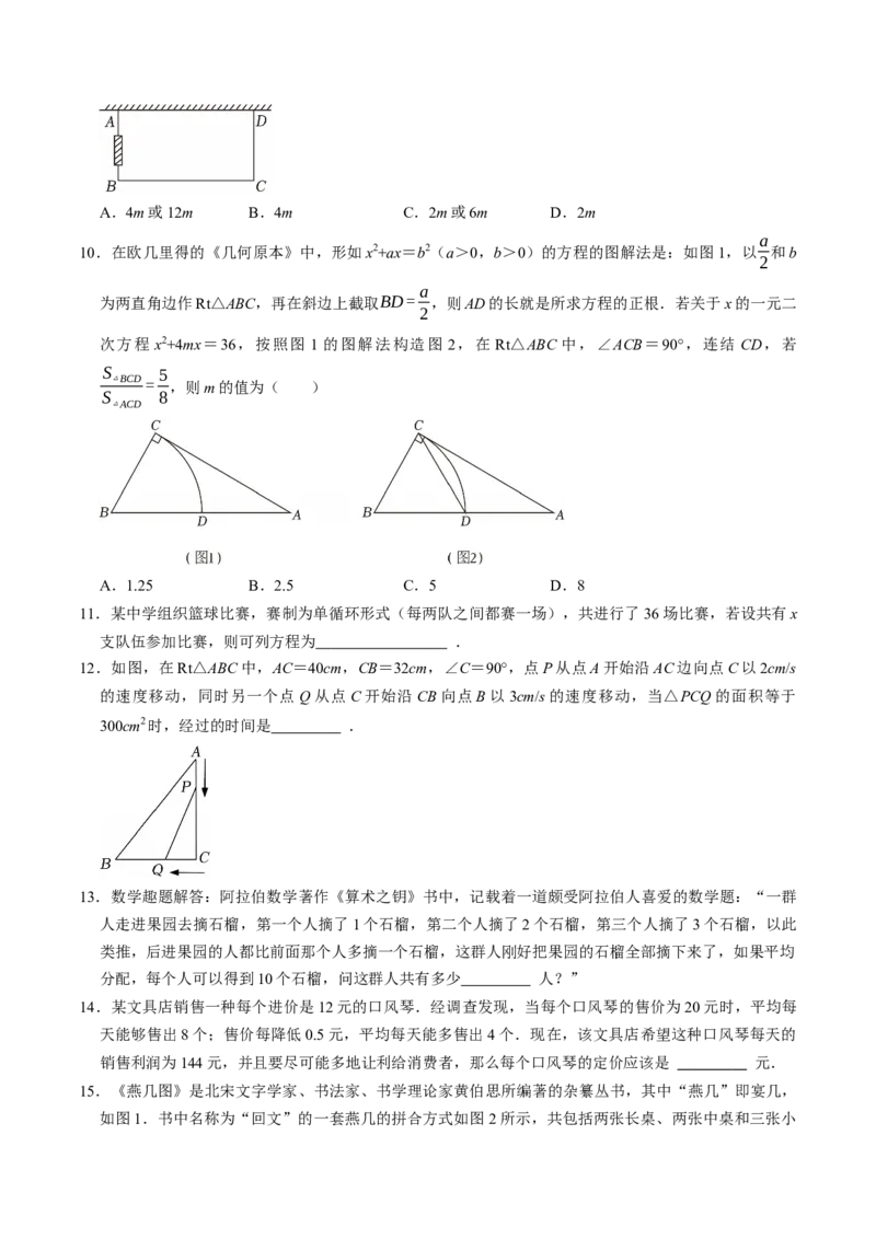专题21.6实际问题与一元二次方程（高效培优讲义）（学生版）_初中数学_九年级数学上册（人教版）_同步讲义-U18_2026版