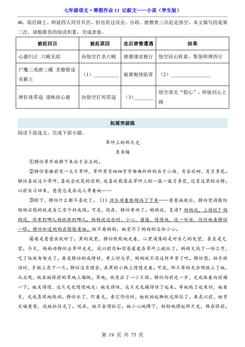 寒假作业11记叙文&mdash;&mdash;小说_新人教版七下语文学习资料包_9.寒假预习课讲义+作业练习_七下语文寒假作业
