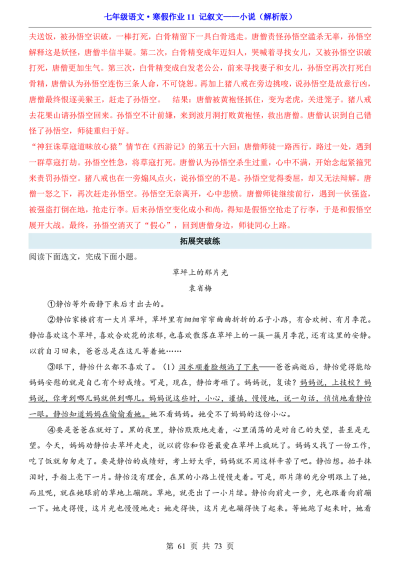 寒假作业11记叙文&mdash;&mdash;小说_新人教版七下语文学习资料包_9.寒假预习课讲义+作业练习_七下语文寒假作业