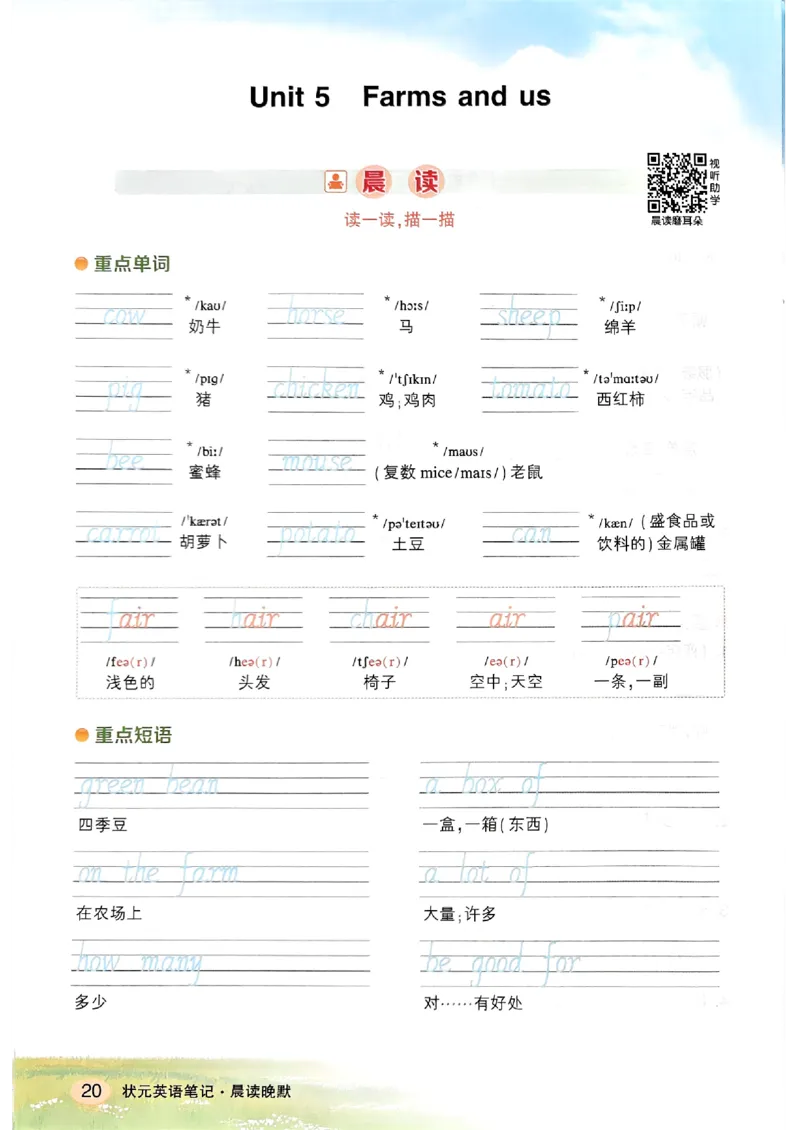 晨读晚默_13重点单词短语句子默写（全册）