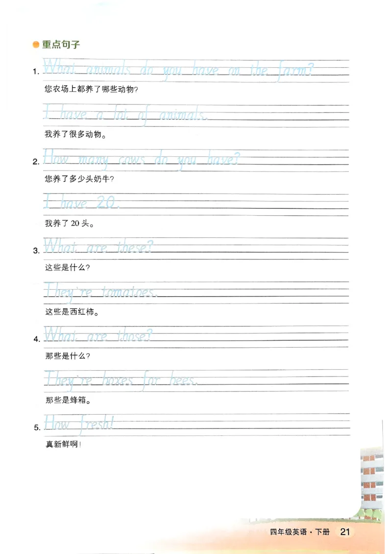 晨读晚默_13重点单词短语句子默写（全册）