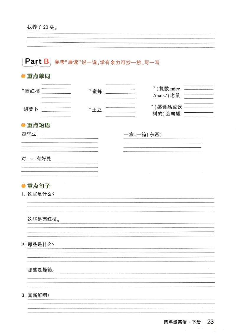 晨读晚默_13重点单词短语句子默写（全册）
