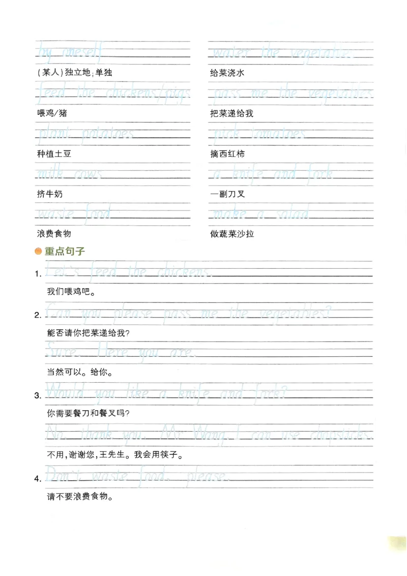 晨读晚默_13重点单词短语句子默写（全册）