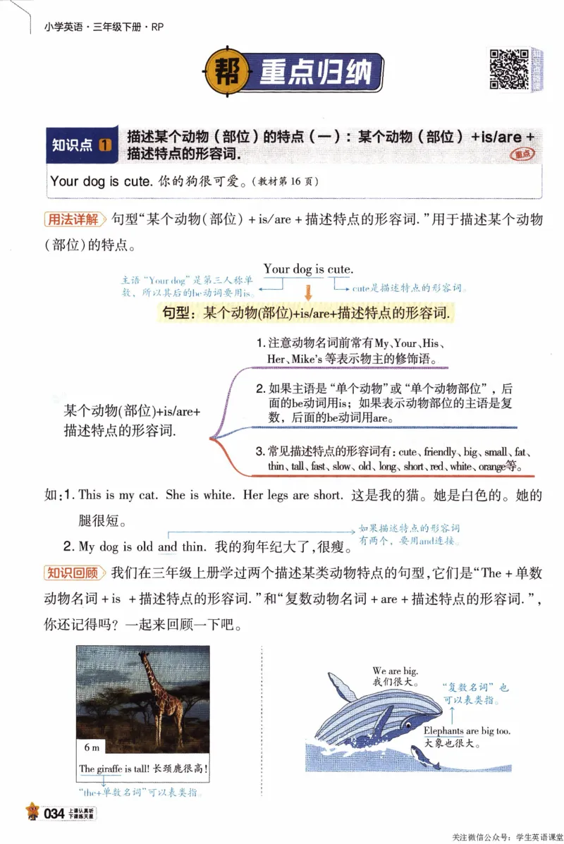 2026春《教材帮》人教英语PEP3下_21练习题+试卷合集多套完整版_-26春《教材帮》_3-6下册_26春三下新课预习英语