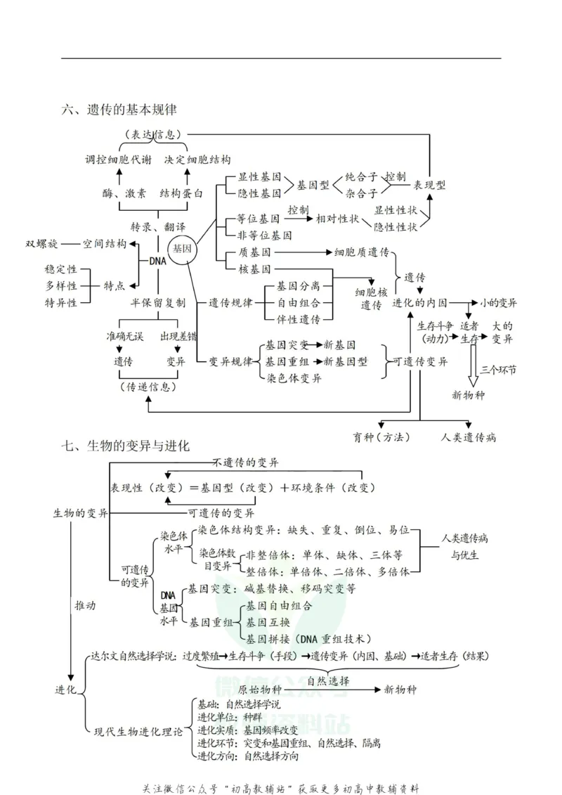 知识框架高中生物知识体系框架图_高中全科精选资料包_生物精选资料包_资料干货