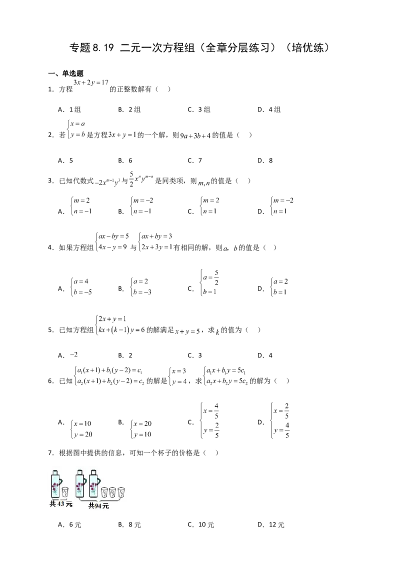 专题8.19二元一次方程组（全章分层练习）（培优练）-（人教版）_初中数学_七年级数学下册（人教版）_专题突破练习-V4