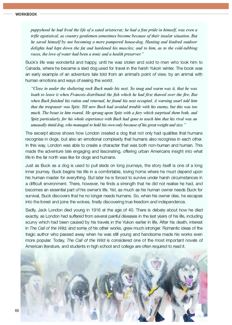 高中选修二英语_教资初高中_教资面试2025教资面试备考资料合集_教资面试资料合集_3、教资面试资料包大全_45大圣中小幼面试资料包_高中_英语_高中英语电子课本