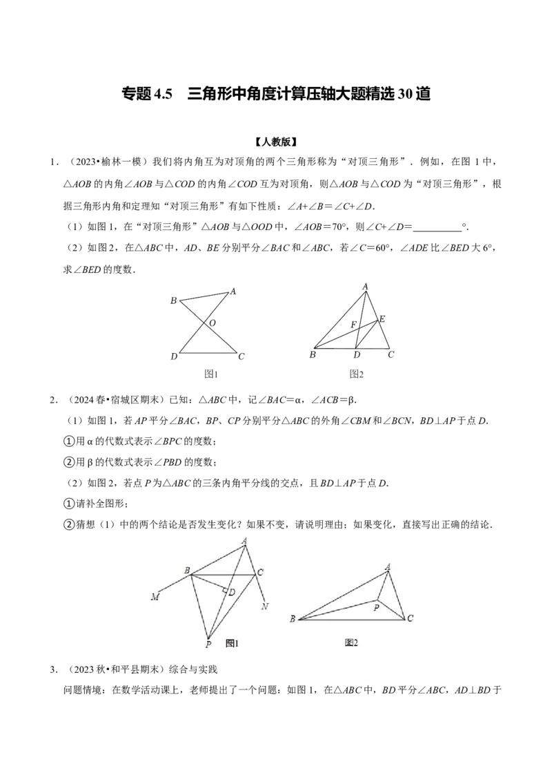 专题4.5三角形中角度计算压轴大题精选30道（必考点分类集训）（人教版）（学生版）_初中数学_八年级数学上册（人教版）_考点分类必刷题-U181