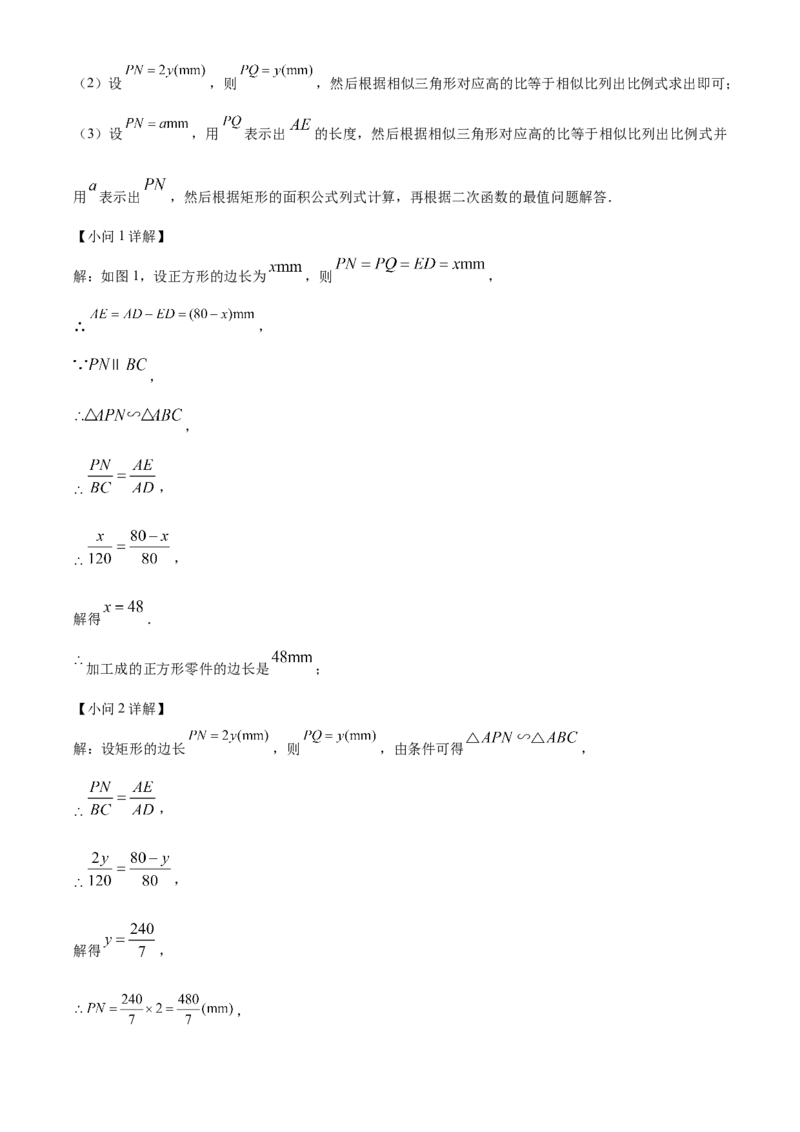 九年级上学期期中数学试题（解析版）_初中数学_九年级数学下册（人教版）_期中+期末