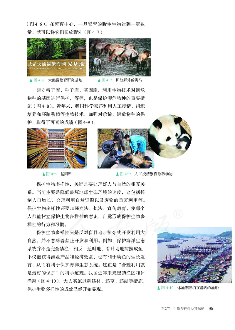 高中选修二生物_教资初高中_教资面试2025教资面试备考资料合集_教资面试资料合集_3、教资面试资料包大全_45大圣中小幼面试资料包_高中_生物_高中生物电子课本