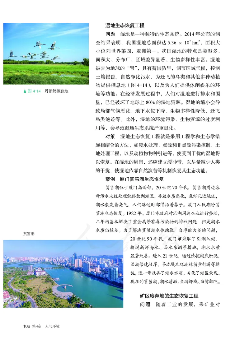 高中选修二生物_教资初高中_教资面试2025教资面试备考资料合集_教资面试资料合集_3、教资面试资料包大全_45大圣中小幼面试资料包_高中_生物_高中生物电子课本