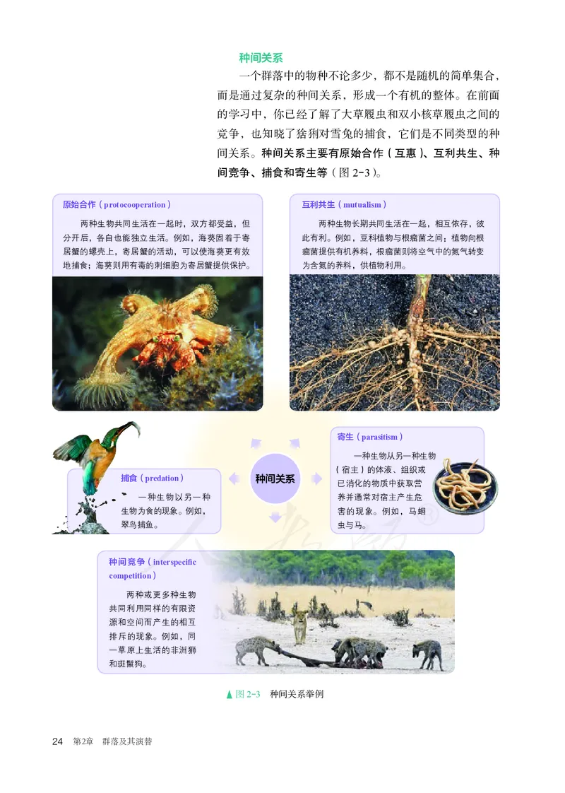 高中选修二生物_教资初高中_教资面试2025教资面试备考资料合集_教资面试资料合集_3、教资面试资料包大全_45大圣中小幼面试资料包_高中_生物_高中生物电子课本