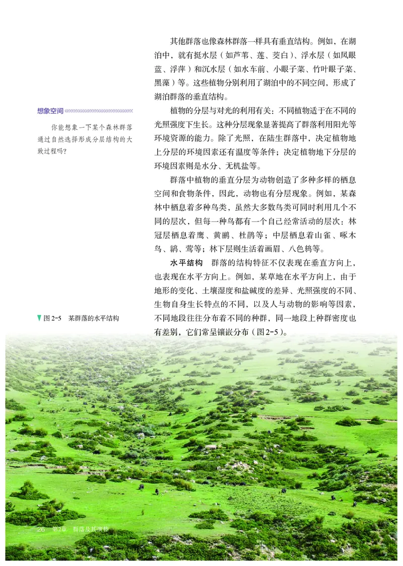 高中选修二生物_教资初高中_教资面试2025教资面试备考资料合集_教资面试资料合集_3、教资面试资料包大全_45大圣中小幼面试资料包_高中_生物_高中生物电子课本