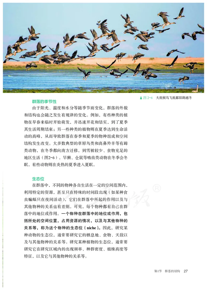 高中选修二生物_教资初高中_教资面试2025教资面试备考资料合集_教资面试资料合集_3、教资面试资料包大全_45大圣中小幼面试资料包_高中_生物_高中生物电子课本