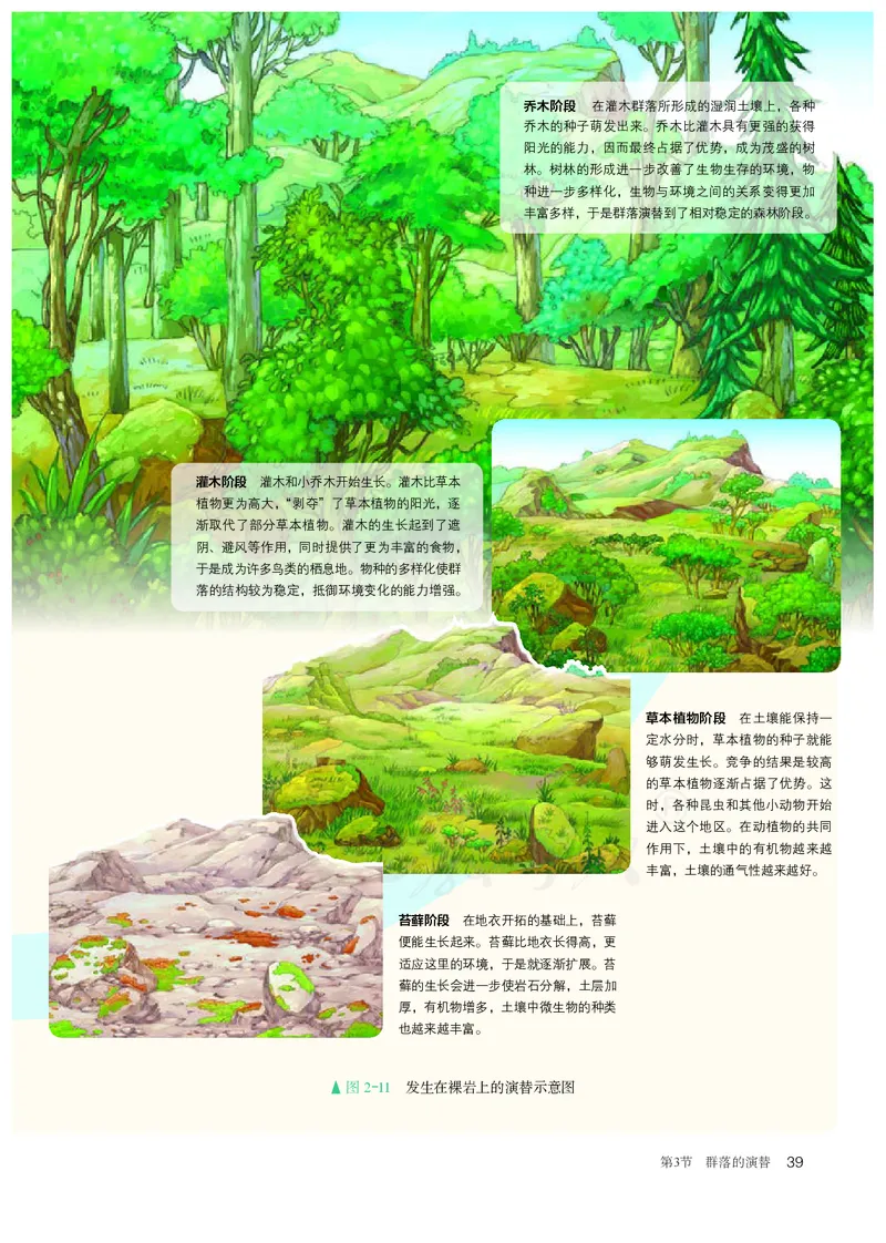 高中选修二生物_教资初高中_教资面试2025教资面试备考资料合集_教资面试资料合集_3、教资面试资料包大全_45大圣中小幼面试资料包_高中_生物_高中生物电子课本